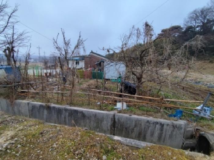 충남 홍성군 구항면 전 경매 물건 사진 2 · 2025타경1246