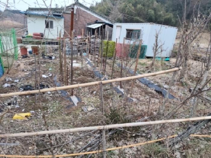 충남 홍성군 구항면 전 경매 물건 사진 4 · 2025타경1246