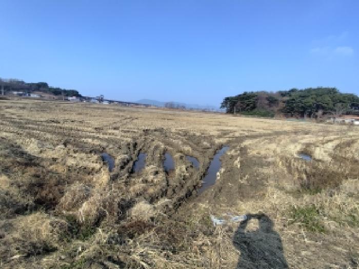 충남 보령시 내항동 전답 경매 물건 사진