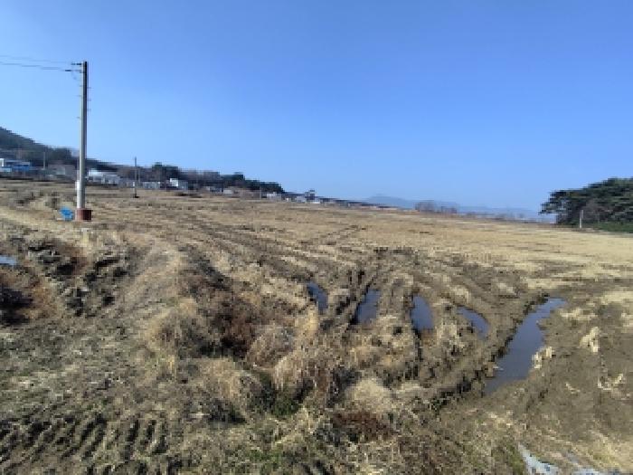 충남 보령시 내항동 전답 경매 물건 사진 2 · 2025타경1247