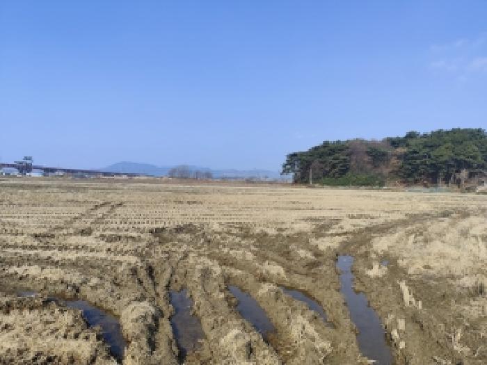 충남 보령시 내항동 전답 경매 물건 사진 3 · 2025타경1247