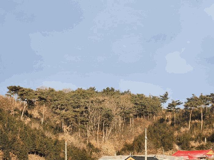 충남 홍성군 서부면 대지,임야,전답 경매 물건 사진 3 · 2025타경1263