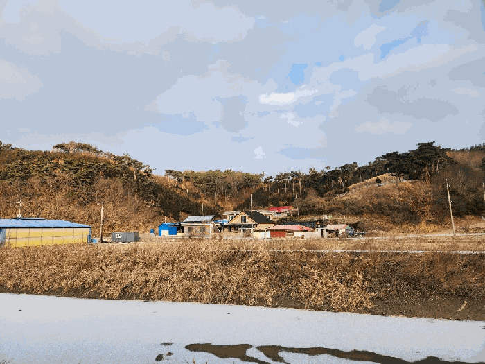 충남 홍성군 서부면 대지,임야,전답 경매 물건 사진 4 · 2025타경1263