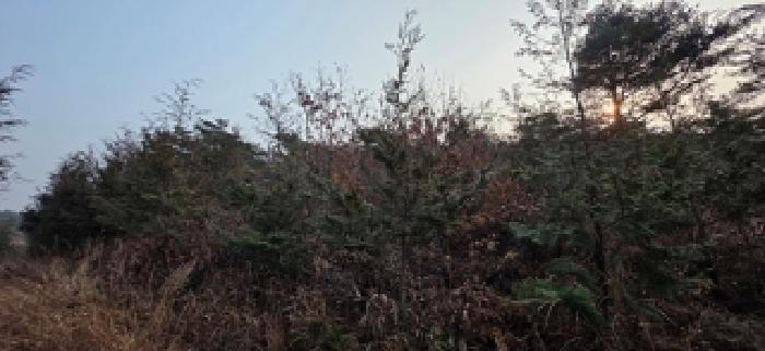 충남 홍성군 서부면 대지,임야,전답 경매 물건 사진