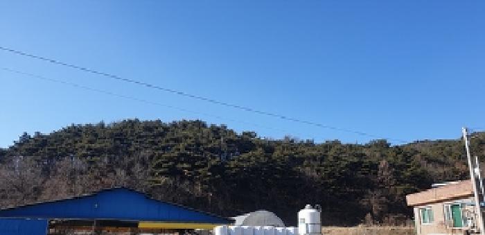 충남 홍성군 장곡면 대지,임야,전답 경매 물건 사진 3 · 2025타경15547