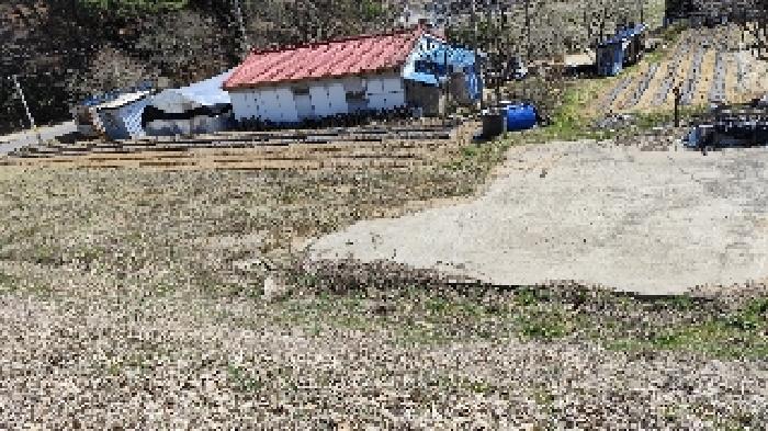 충남 보령시 청라면 도로 경매 물건 사진 4 · 2025타경15598