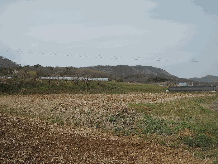 충남 보령시 주교면 답 경매 물건 사진 5 · 2025타경15641