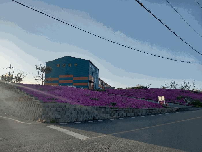 충남 예산군 봉산면 공장/지식산업센터 경매 물건 사진
