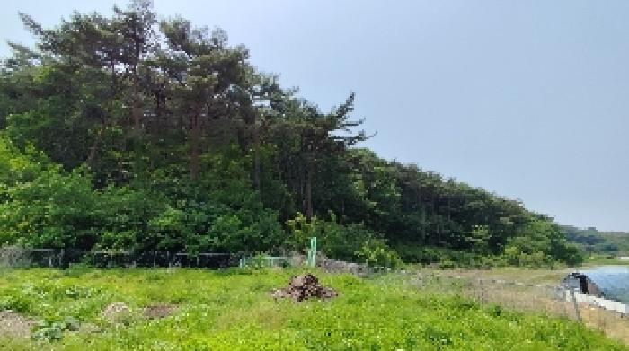 충남 보령시 오천면 임야 경매 물건 사진 2 · 2025타경15704