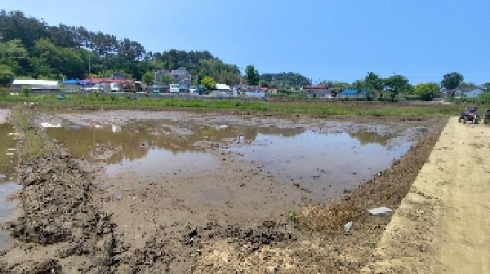충남 보령시 웅천읍 토지 기타 경매 물건 사진
