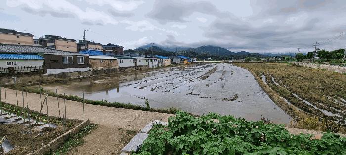 충남 홍성군 광천읍 대지 경매 물건 사진 5 · 2025타경15730