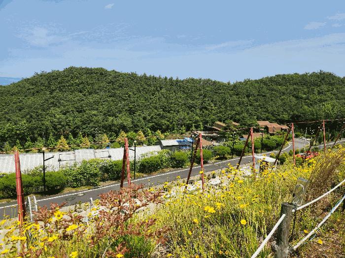 충남 보령시 신흑동 잡종지 경매 물건 사진 3 · 2025타경15760