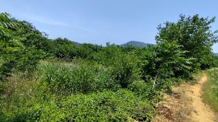 충남 홍성군 광천읍 전답 경매 물건 사진