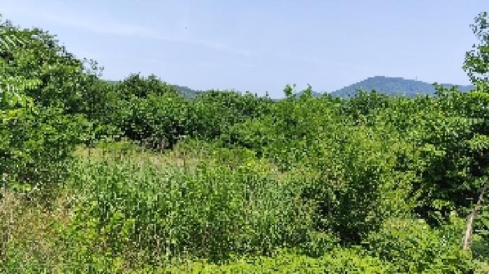 충남 홍성군 광천읍 전답 경매 물건 사진 2 · 2025타경15775