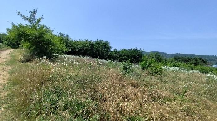 충남 홍성군 광천읍 전답 경매 물건 사진 4 · 2025타경15775