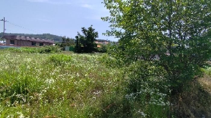 충남 보령시 남포면 전 경매 물건 사진 2 · 2025타경15776