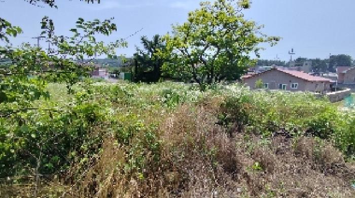 충남 보령시 남포면 전 경매 물건 사진 4 · 2025타경15776