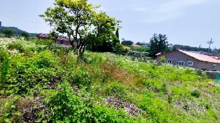 충남 보령시 남포면 전 경매 물건 사진 6 · 2025타경15776