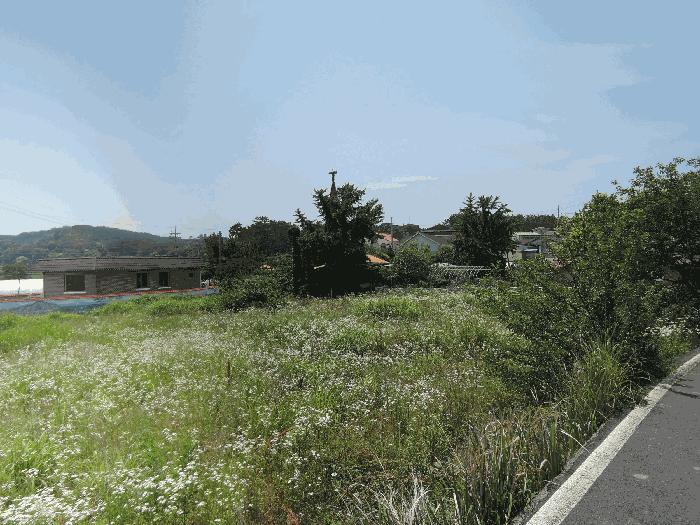충남 보령시 남포면 전 경매 물건 사진 3 · 2025타경15776