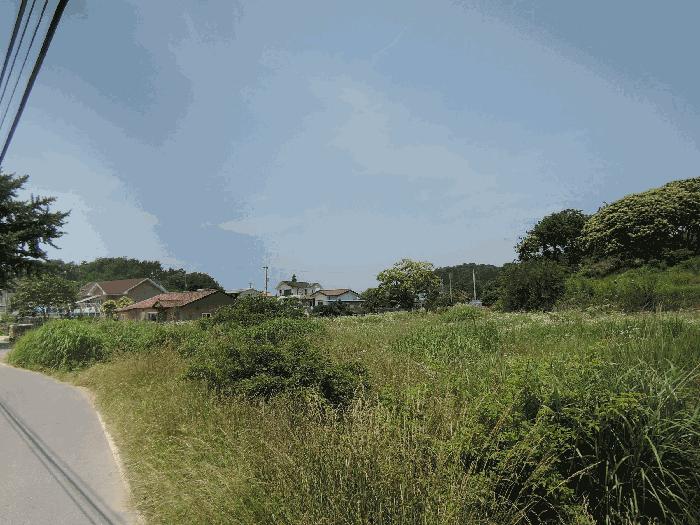 충남 보령시 남포면 전 경매 물건 사진 5 · 2025타경15776