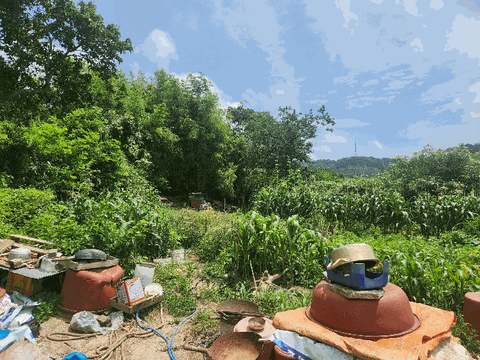 충청남도 보령시 오천면 소성리 572 대지 경매 물건 사진