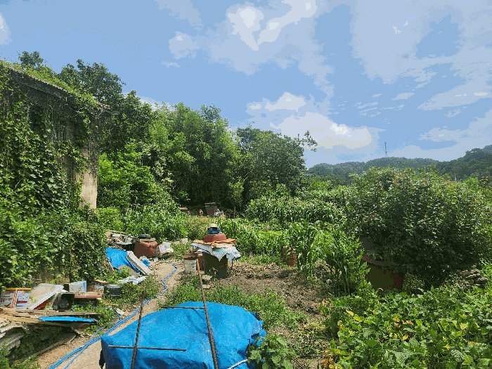 충남 보령시 오천면 대지 경매 물건 사진 6 · 2025타경15796