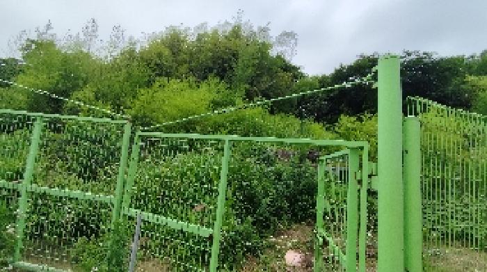 충남 보령시 오천면 대지 경매 물건 사진