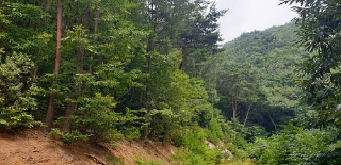 충남 홍성군 갈산면 도로 경매 물건 사진 2 · 2025타경15814