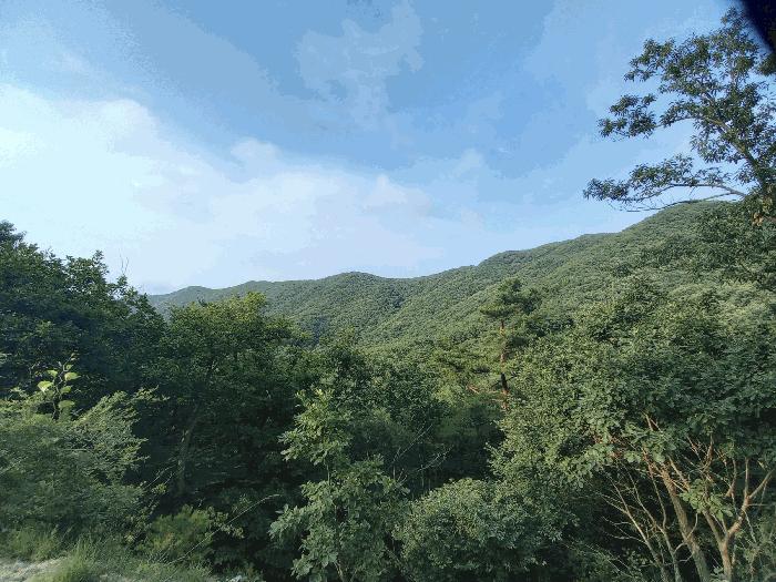 충남 홍성군 갈산면 도로 경매 물건 사진 5 · 2025타경15814