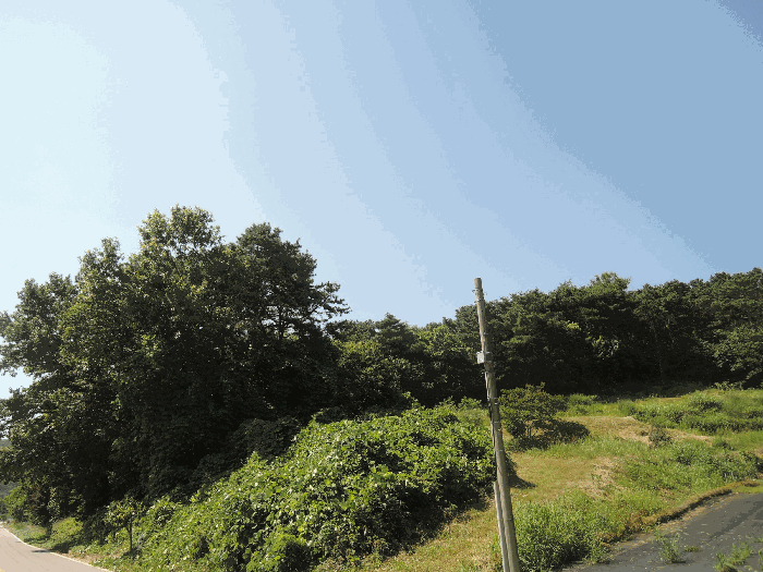 충남 홍성군 갈산면 토지 기타 경매 물건 사진 3 · 2025타경15815