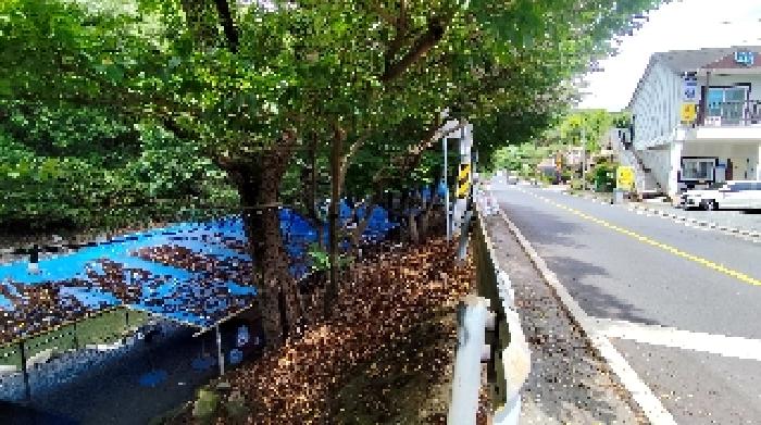 충남 보령시 성주면 다가구주택 경매 물건 사진 4 · 2025타경15826