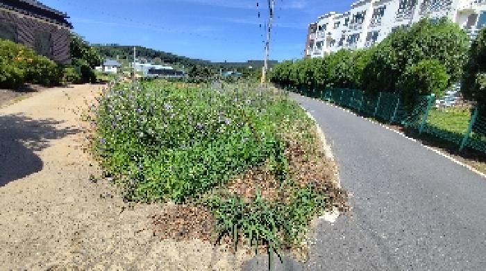 충남 보령시 신흑동 임야 경매 물건 사진