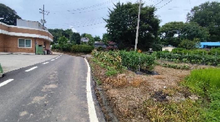 충남 보령시 청라면 답 경매 물건 사진 3 · 2025타경15878