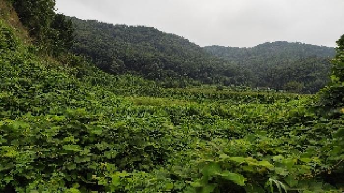 충남 보령시 천북면 임야 경매 물건 사진 2 · 2025타경15885