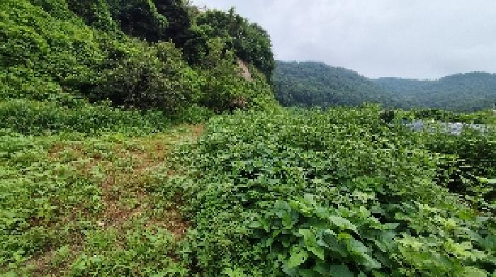 충남 보령시 천북면 임야 경매 물건 사진 3 · 2025타경15885