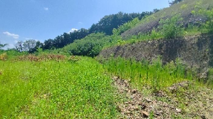 충남 서천군 한산면 임야 경매 물건 사진 2 · 2025타경15887