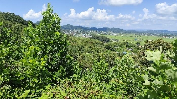 충남 서천군 한산면 임야 경매 물건 사진 6 · 2025타경15887