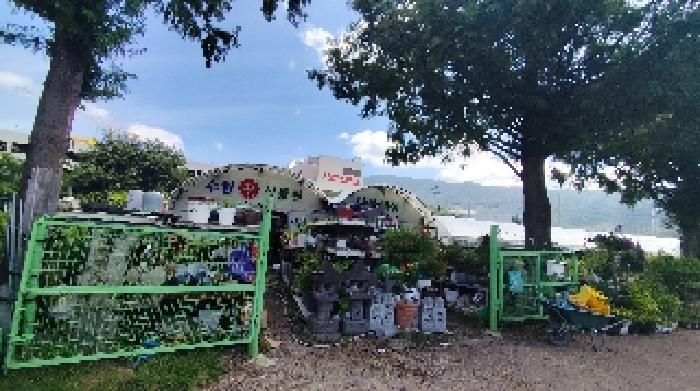 충남 보령시 동대동 단독주택 경매 물건 사진 5 · 2025타경15912
