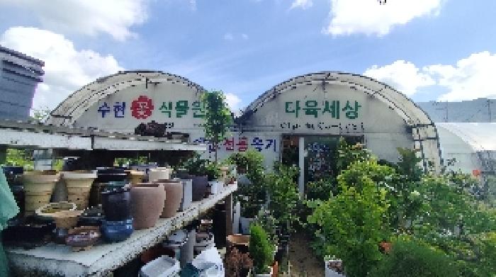 충남 보령시 동대동 단독주택 경매 물건 사진 6 · 2025타경15912