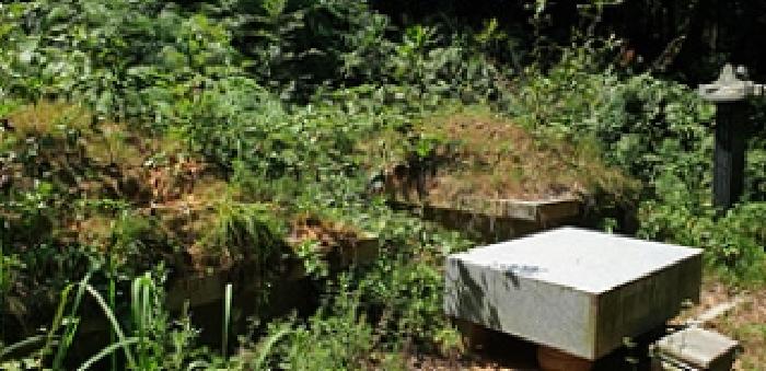 충남 예산군 봉산면 임야 경매 물건 사진 4 · 2025타경15928