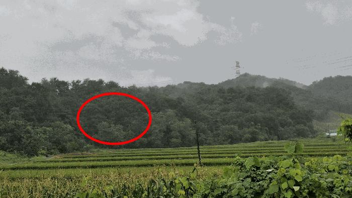 충남 예산군 봉산면 임야 경매 물건 사진 3 · 2025타경15928