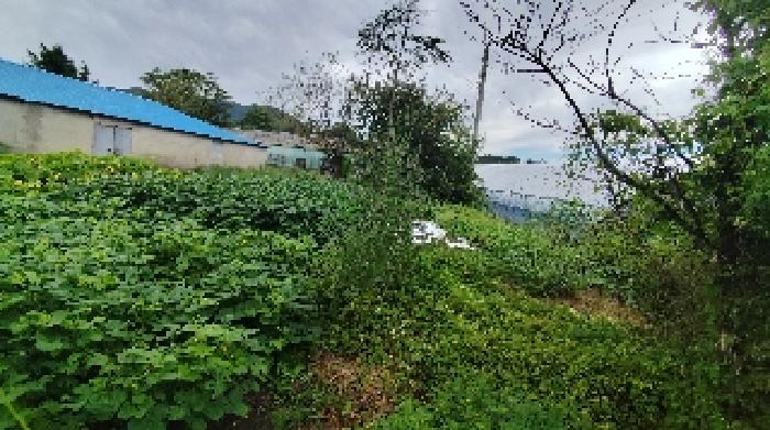 충남 보령시 청라면 공장/지식산업센터 경매 물건 사진 4 · 2025타경15929
