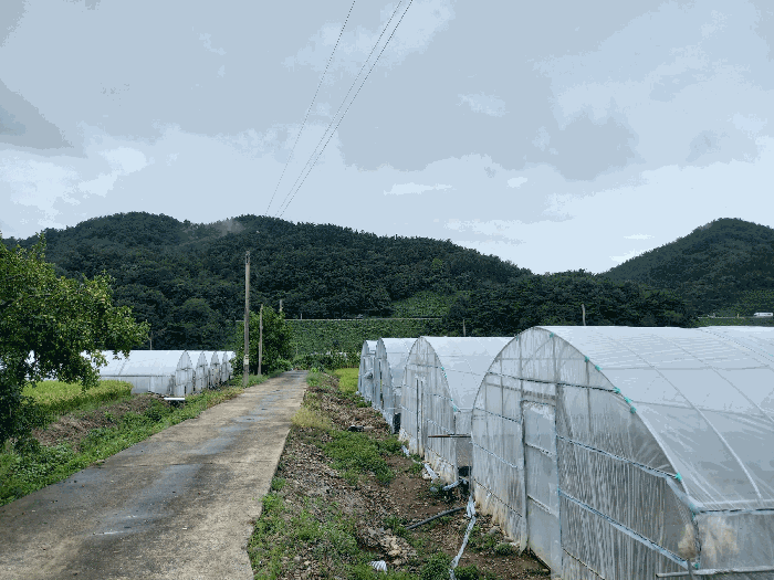 충청남도 서천군 종천면 신검리 산36-4 임야 경매 물건 사진