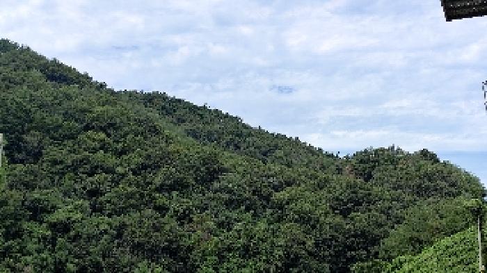충남 서천군 종천면 임야 경매 물건 사진