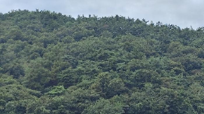 충남 서천군 종천면 임야 경매 물건 사진 3 · 2025타경15960