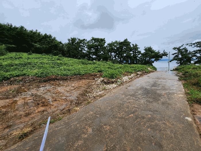 충남 보령시 오천면 전 경매 물건 사진