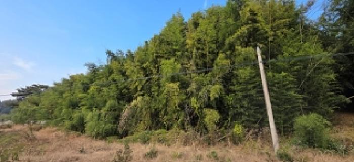 충남 홍성군 금마면 임야 경매 물건 사진 3 · 2025타경15991