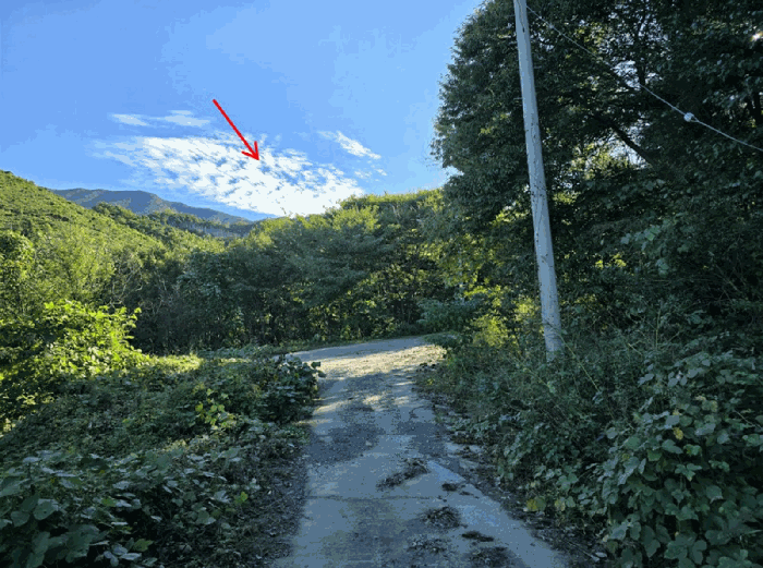 충남 보령시 청소면 임야 경매 물건 사진 6 · 2025타경16009