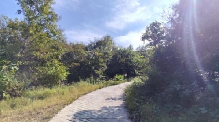 충남 보령시 청소면 임야 경매 물건 사진 2 · 2025타경16009