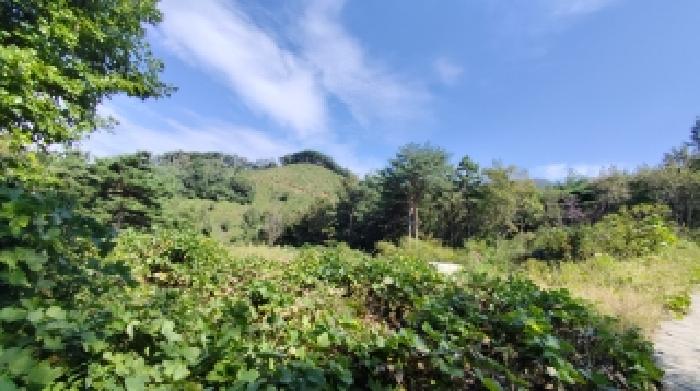 충남 보령시 청소면 임야 경매 물건 사진 4 · 2025타경16009